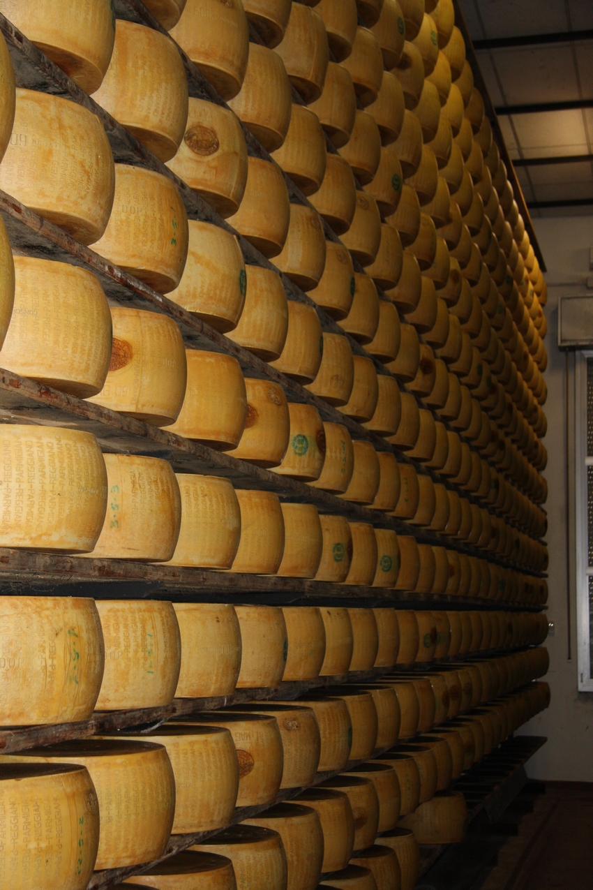 Forme di Parmigiano Reggiano sugli scaffali di stagionatura
